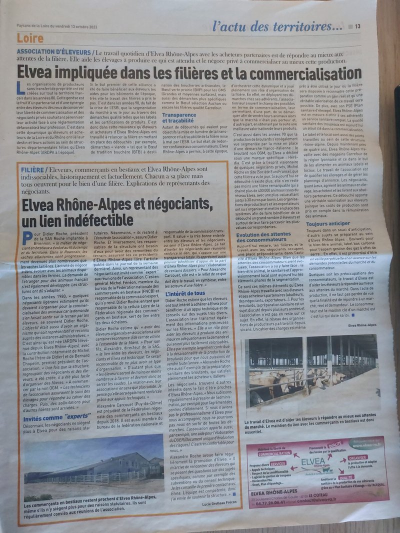 Meilleur divaspin bonus à France Meilleur divaspin bonus à France